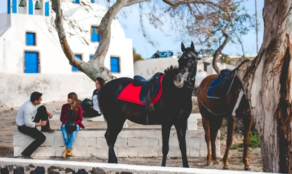 santorini-horse-riding-church-greece-01--opt.jpg